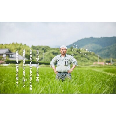 令和7年度産 島のブランド米「本氣米」3kg(コシヒカリ)