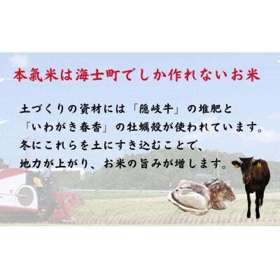 令和7年度産 島のブランド米「本氣米」3kg(コシヒカリ)