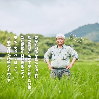 島のブランド米「本氣米」10kg