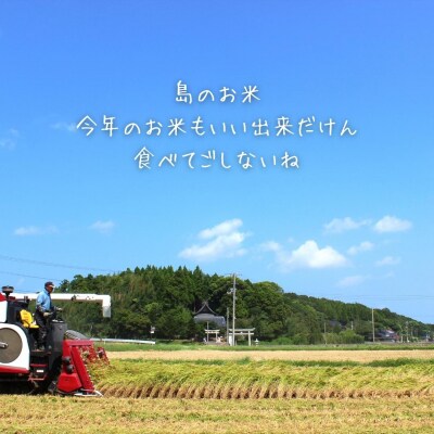 【定期便4ヵ月】計20kg!コシヒカリ・きぬむすめ 5kg×4か月定期便 お米