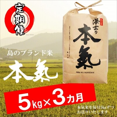 ふるさと納税 お米の定期便 本氣米5kg 6か月定期便 計30kg お礼品詳細 ふるさと納税なら さとふる
