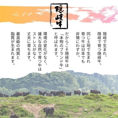 【黒毛和牛 定期便3ヵ月】隠岐牛上赤身ロースすき焼き