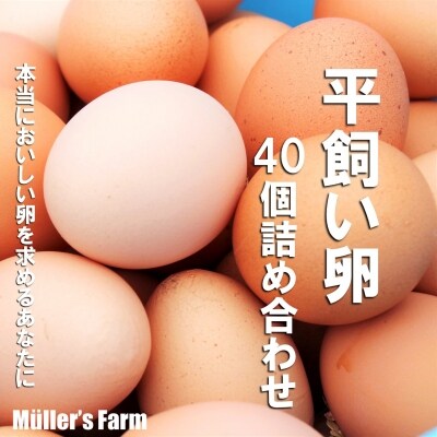 【ふるさと納税】平飼い卵詰め合わせ!40個セット