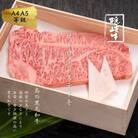 【ふるさと納税】牛肉 お肉 A5 A4 黒毛和牛 隠岐牛 サーロインステーキ 400g