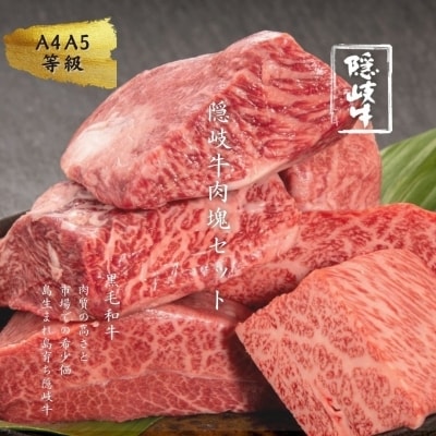 【ふるさと納税】牛肉 お肉 A5 A4 希少部位 黒毛和牛 隠岐牛 肉塊 2.4kg 天然塩 冷凍