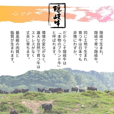  隠岐牛 肉塊 2.4kg