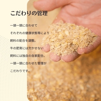 【黒毛和牛 定期便6ヵ月】隠岐牛 焼肉 黒毛和牛 牛肉 肉 カルビ ロース 焼肉用 A4 A5 