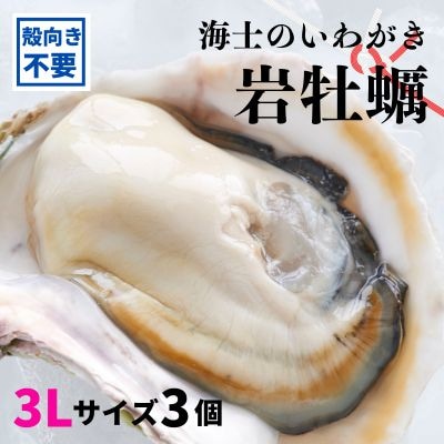 【のし付き】海士のいわがき 殻なしタイプ 960g～1.2kg 3Lサイズ3個 岩牡蠣 牡蠣 CAS