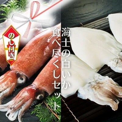 白 イカ 刺身の人気商品 通販 価格比較 価格 Com