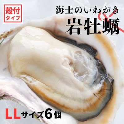 【のし付き】海士のいわがき 2.4kg～3kg 巨大LLサイズ6個 岩牡蠣 牡蠣 かき CAS冷凍