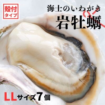 【のし付き】海士のいわがき 2.8kg～3.5kg 巨大LLサイズ7個 岩牡蠣 牡蠣 CAS冷凍