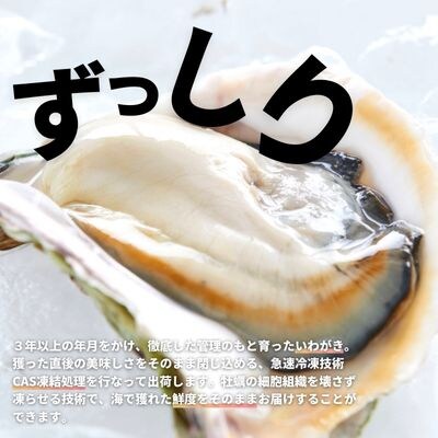 【のし付き】海士のいわがき 2.8kg～3.5kg 巨大LLサイズ7個 岩牡蠣 牡蠣 CAS冷凍