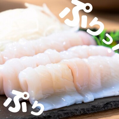 【のし付き】スルメイカ 丸ごと5本 1kg 寒シマメ いか イカ 鮮度そのまま CAS 冷凍 個包装