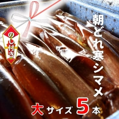 【のし付き】スルメイカ 寒シマメ 大サイズ 250-300g×5杯 朝どれ鮮度 CAS冷凍 個包装