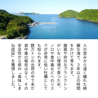 【ふるさと納税】最旬にお届け! 生のブランドいわがき春香 Lサイズ6個　※期間限定4月27日まで