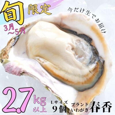 【ふるさと納税】最旬にお届け! 生のブランドいわがき春香 Lサイズ9個　※4月17日までの期間限定