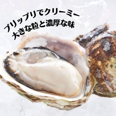 【ふるさと納税】最旬にお届け! 生のブランドいわがき春香 Lサイズ9個　※4月17日までの期間限定