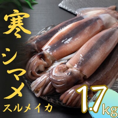 スルメイカ 丸ごと5～6本 約1.7kg 寒シマメ