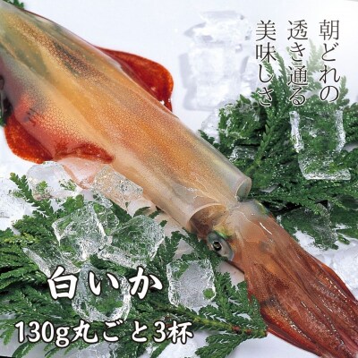 【ぷりぷり甘い高級白いか】白いか丸ごと 130g×3本セット 朝どれ鮮度でお送りします いか イカ 