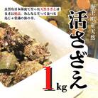 【ふるさと納税】【入荷次第順次発送】 島獲れ活さざえ1kg 新鮮 BBQ