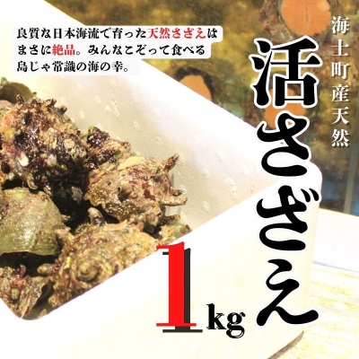 【ふるさと納税】【入荷次第順次発送】 島獲れ活さざえ1kg 新鮮 BBQ