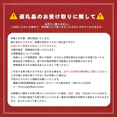 【ふるさと納税】【11月以降順次発送】 島獲れ活さざえ1kg 新鮮 BBQ