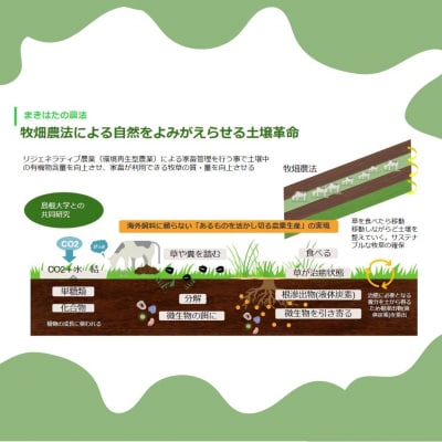 まきはた牛乳工房 ヨーグルト (450ml) 【ヨーグルト ジャージー牛乳 クリームトップ 濃厚 海