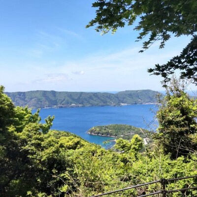 まきはた牛乳工房 牛乳 (900ml×2本セット) 【牛乳 ノンホモ牛乳 海士町】