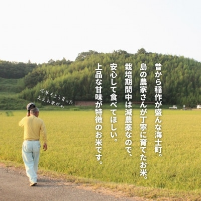 【先行予約受付】令和7年度産! 海士町産コシヒカリ10kg
