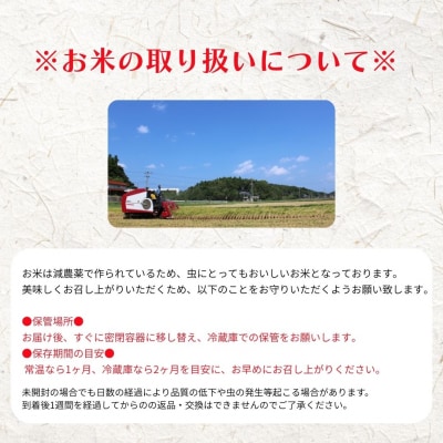 【定期便6ヵ月】計60kg!コシヒカリ 10kg×6か月定期便