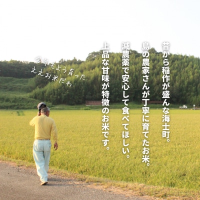 令和7年度産 海士町産きぬむすめ2kg