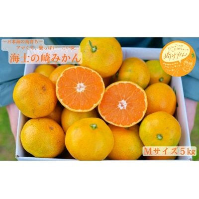 【期間限定】崎地区の崎みかん Mサイズ 5kg 約50個 期間限定 11月下旬より発送開始