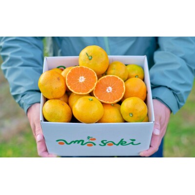 【期間限定】崎地区の崎みかん Mサイズ 5kg 約50個 期間限定 11月下旬より発送開始