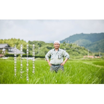 島のブランド米「本氣米」3kg(きぬむすめ)