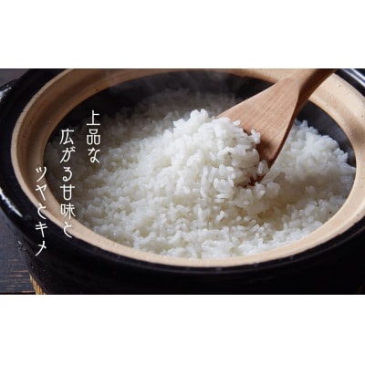 【ふるさと納税】 島のブランド米「本氣米」5kg(きぬむすめ)