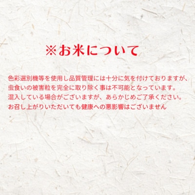 令和8年度産先行予約【定期便6ヵ月】計60kg!コシヒカリ 10kg×6か月定期便