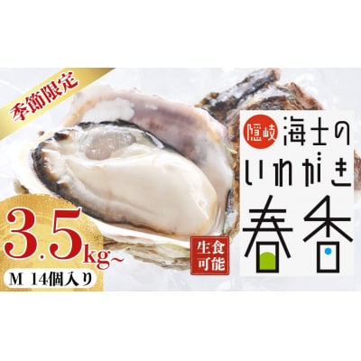 海士町産【生のいわがき Mサイズ14個】岩牡蠣　生牡蠣