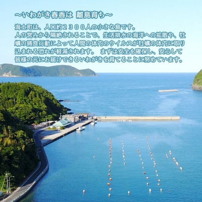 【先行販売受付中:いわがき春香 殻付き 1kg Sサイズ5個】 岩牡蠣 生食可 冷凍 牡蛎 牡蠣