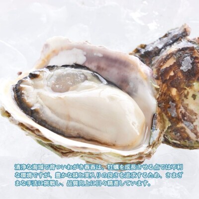 【先行販売受付中:いわがき春香 殻付き 1kg Sサイズ5個】 岩牡蠣 生食可 冷凍 牡蛎 牡蠣 か
