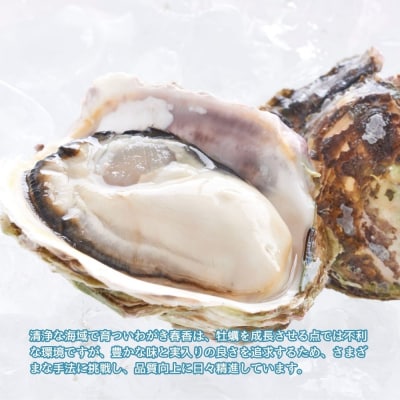 【先行販売受付中:いわがき春香 殻付き 1kg Sサイズ5個】 岩牡蠣 生食可 冷凍 牡蛎 牡蠣