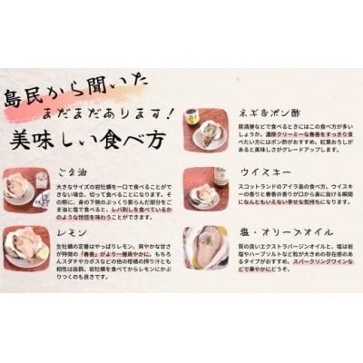 海士町産【生のいわがき SSサイズ6個】 岩牡蠣 生牡蠣