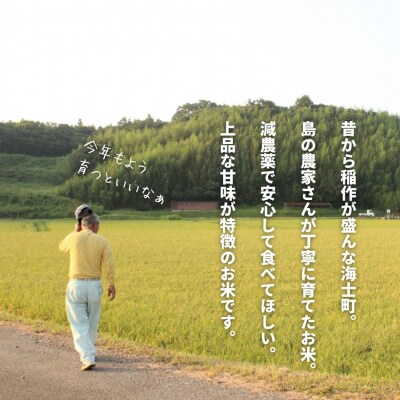 令和8年度産先行予約【定期便4ヵ月】計20kg!コシヒカリ 5kg×4か月定期便