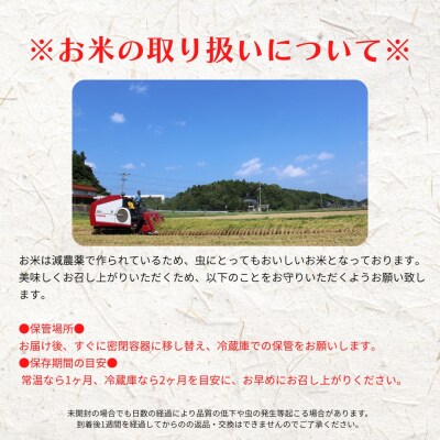令和8年度産先行予約【定期便4ヵ月】計20kg!コシヒカリ 5kg×4か月定期便