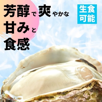 【肉厚!】いわがき春香 6個|1.2kg 手のひらサイズの極上岩牡蠣(生食可)