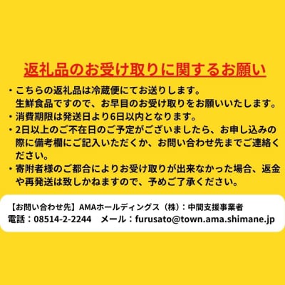 【肉厚!】いわがき春香 6個|1.2kg 手のひらサイズの極上岩牡蠣(生食可)