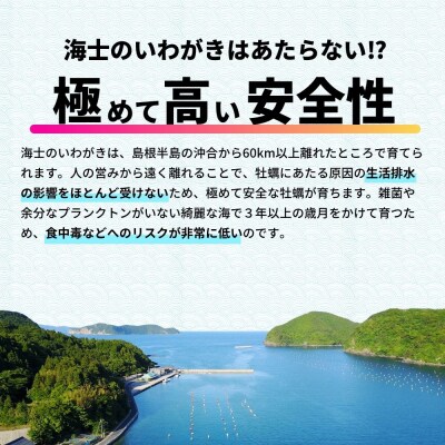 まずはお試しで!【真牡蠣より肉厚!】いわがき春香 Sサイズ 3個