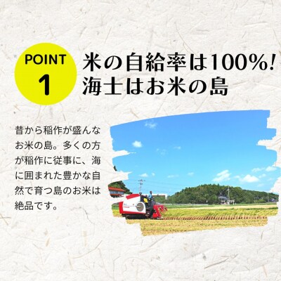 令和8年度産先行予約 【定期便6ヵ月】きぬむすめ10kg×6ヵ月定期便