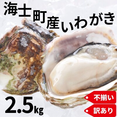 【規格外品】海士町産いわがき 規格外 2.5kgセット! 牡蠣 牡蛎 いわがき 岩牡蠣 殻付き 海鮮