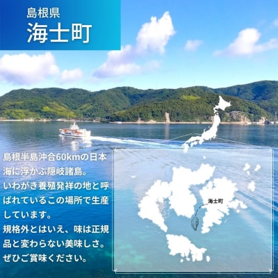 【好評につき5/27まで延長】海士町産いわがき 規格外 2.5kgセット! 牡蠣 岩牡蠣 殻付き
