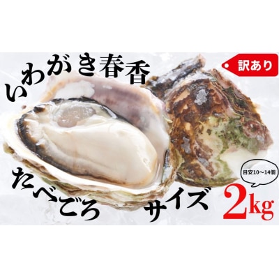 【ブランドいわがき春香】【訳あり】食べごろサイズ 2kgセット 春香 牡蠣 牡蛎 いわがき 岩牡蠣 
